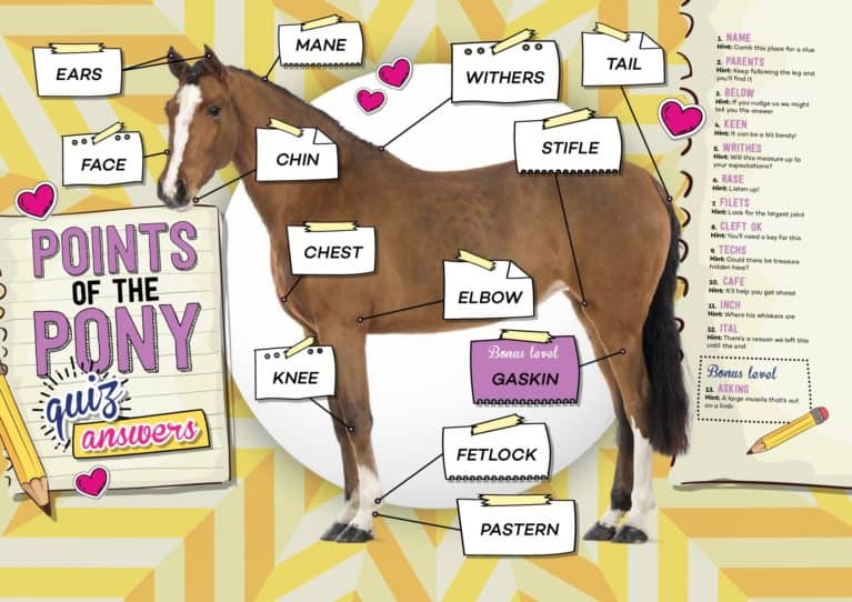 Pony quiz answers Pony Magazine