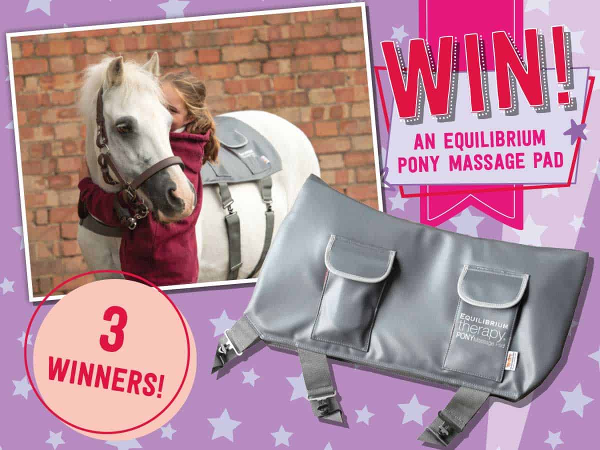 WIN an Equilibrium pony massage pad Pony Magazine