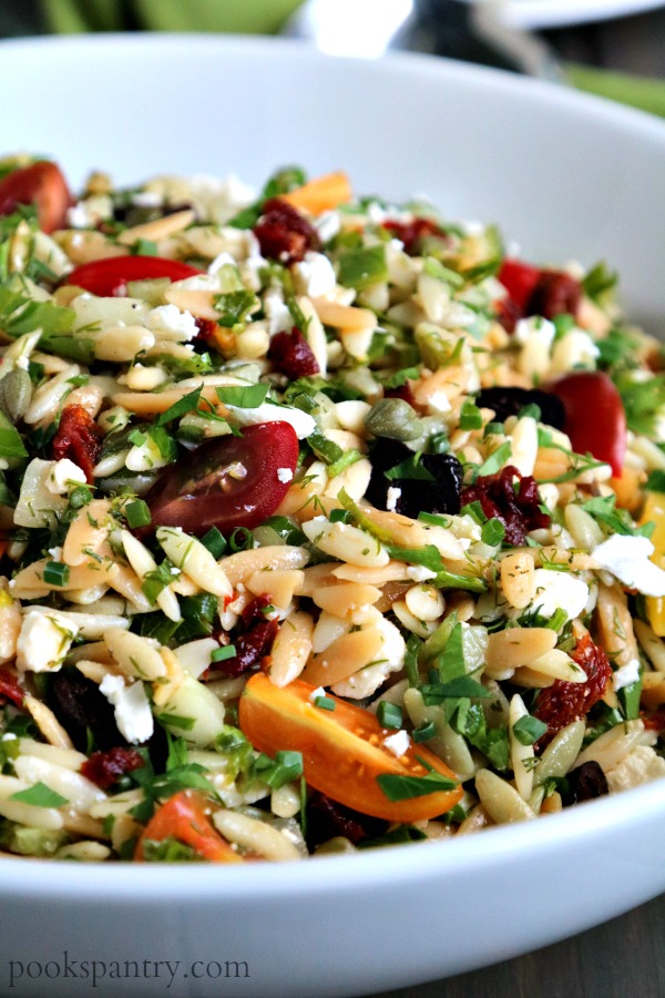 Mediterranean Orzo Pasta Salad Recipe Dandk Organizer
