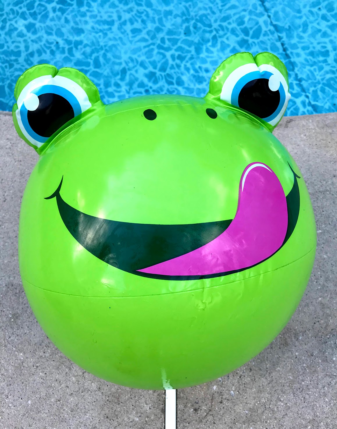 Bullfrogs and Butterflies Kids Pool Party Theme for Boys and Girls