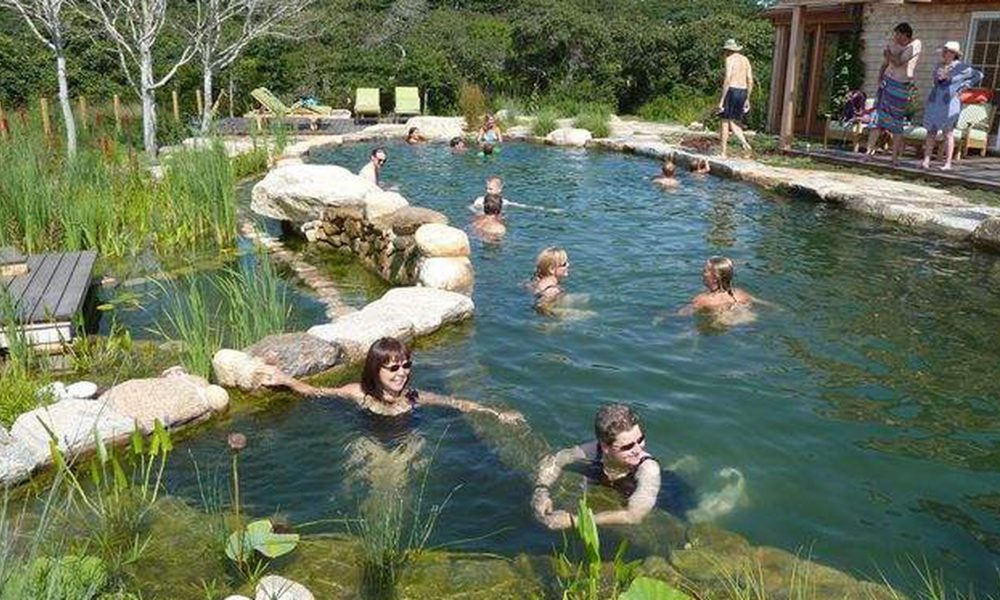 Natural Pools The Pros & Cons of Going Au Naturel