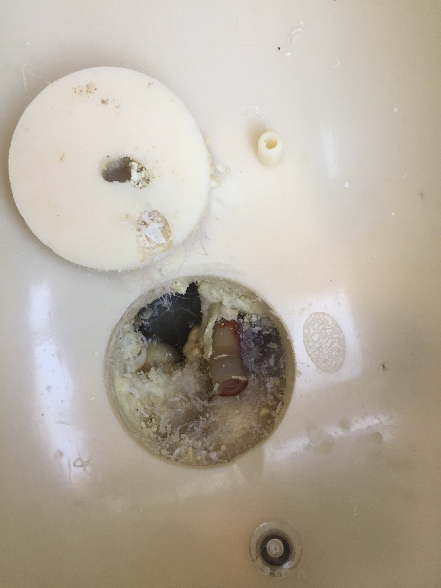 HotSpring envoy leaking from bottom Portable Hot Tubs & Spas Pool