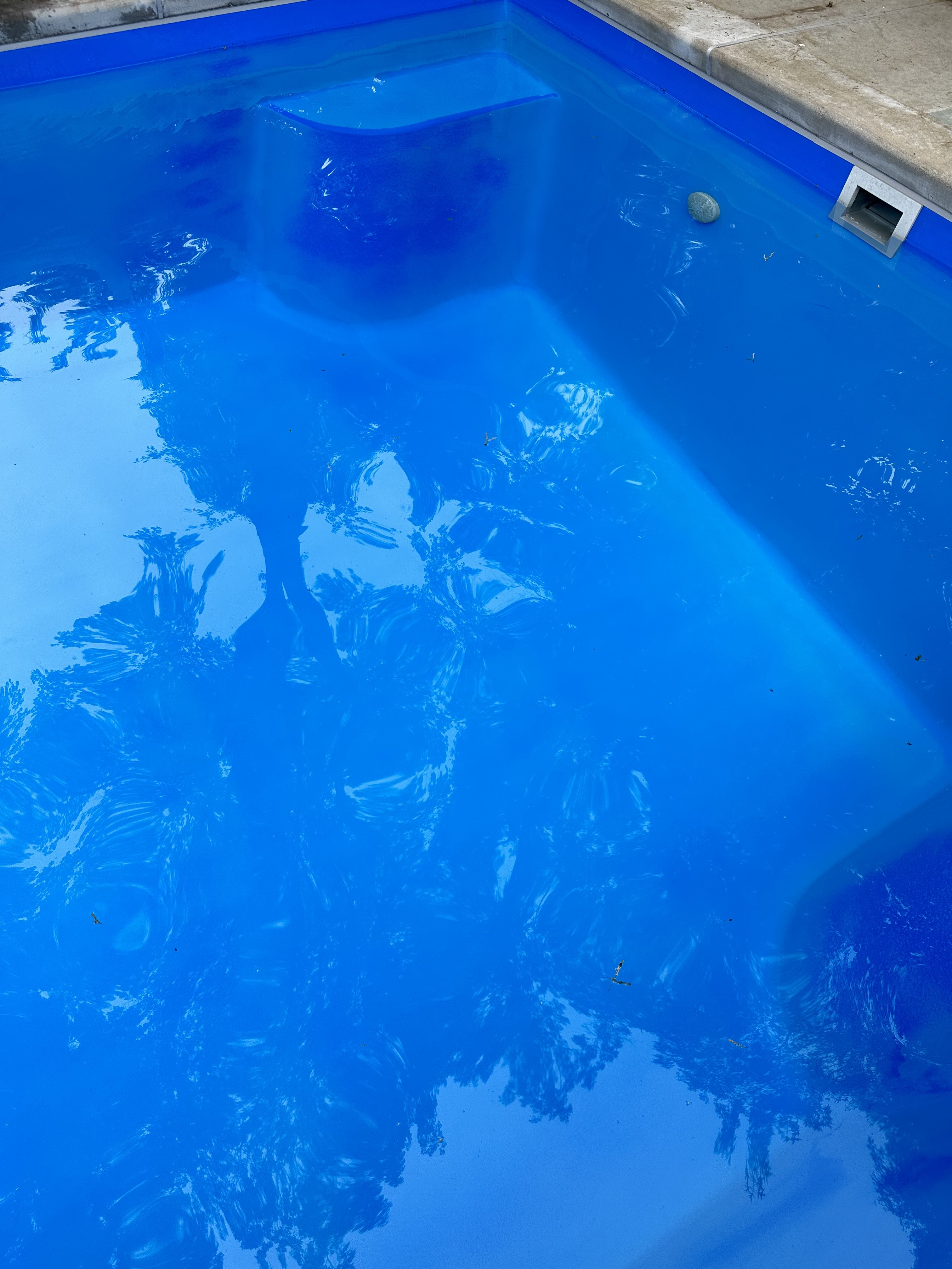 Fiberglass pool faded after one year All Swimming Pools Types Pool