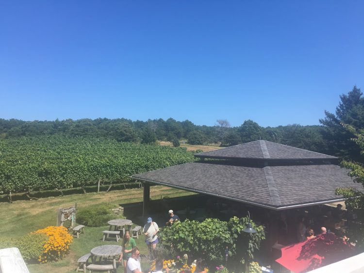 Best Way to Get from NYC to Cape Cod · Poor In A Private Plane