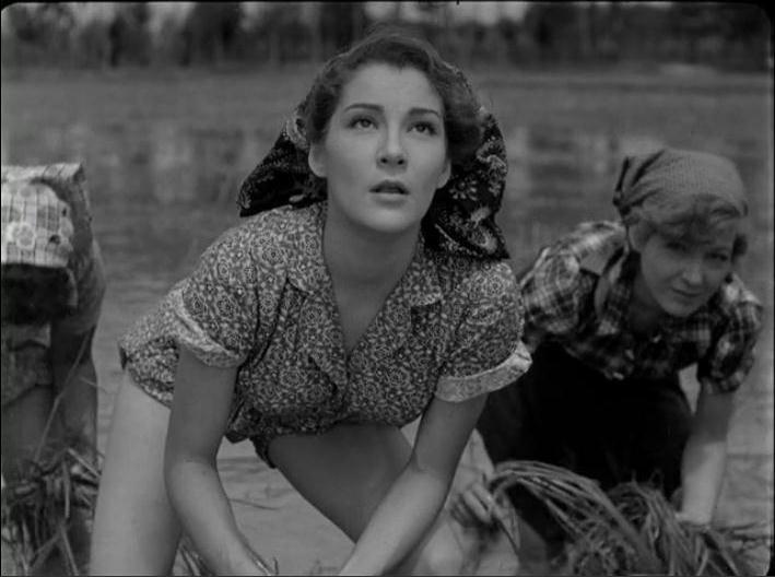 New on Video 'Bitter Rice' PopOptiq