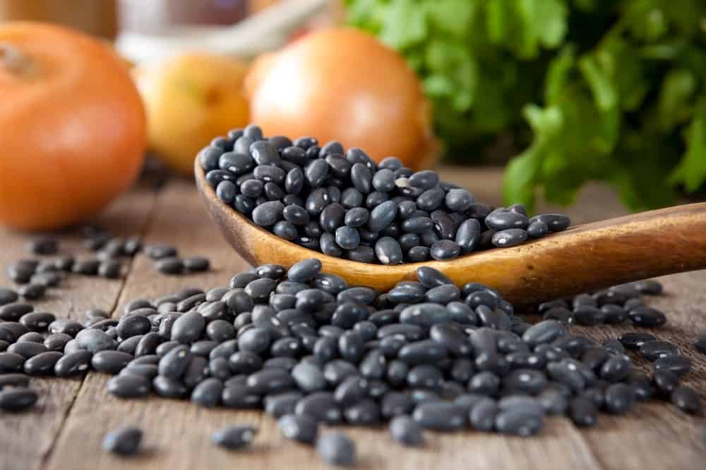 12 Different Types of Beans and Legumes PopOptiq