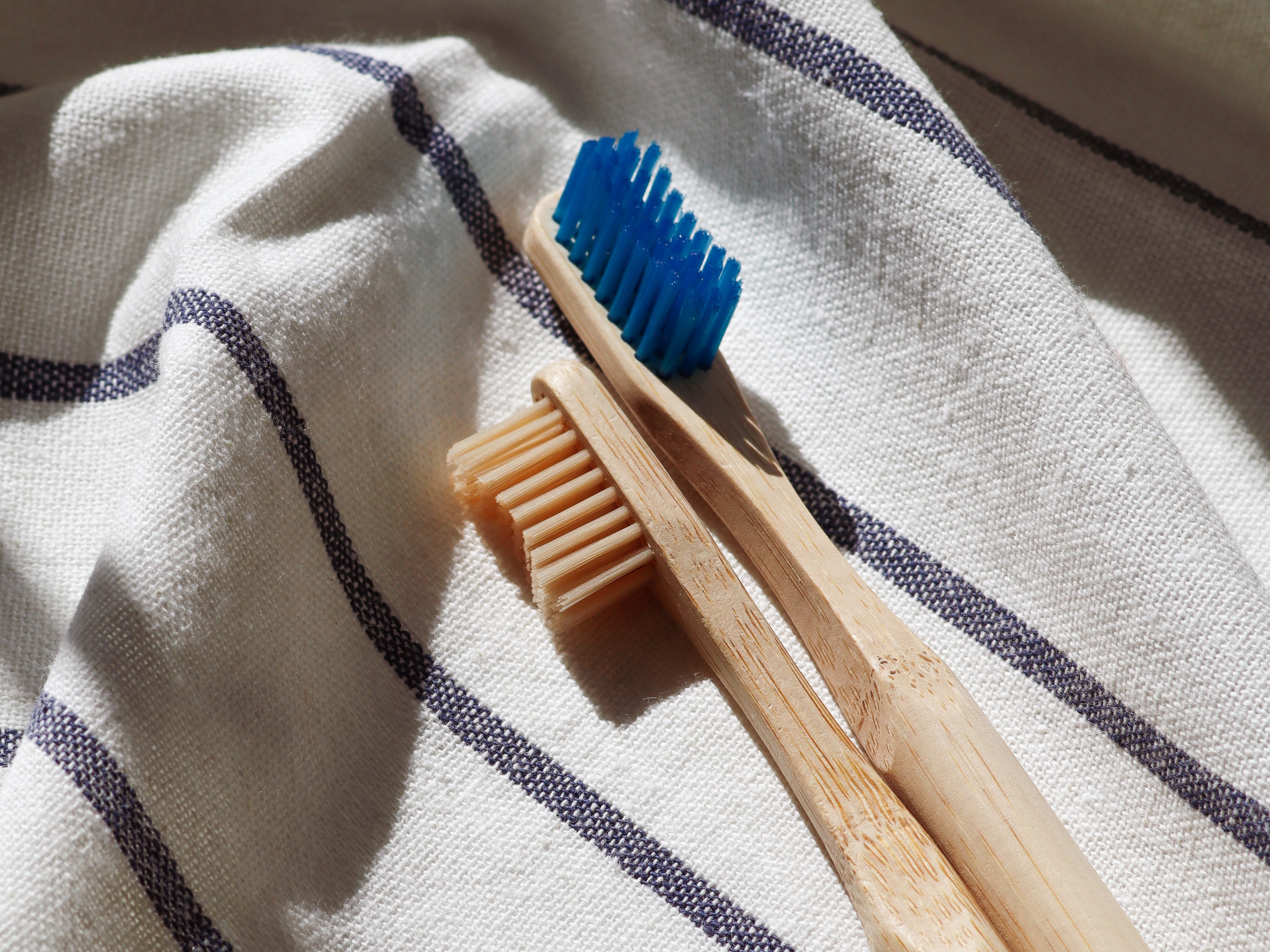 How to reuse old toothbrushes around the house Popular Science
