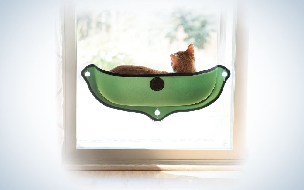 Best cat window perches in 2022 Popular Science