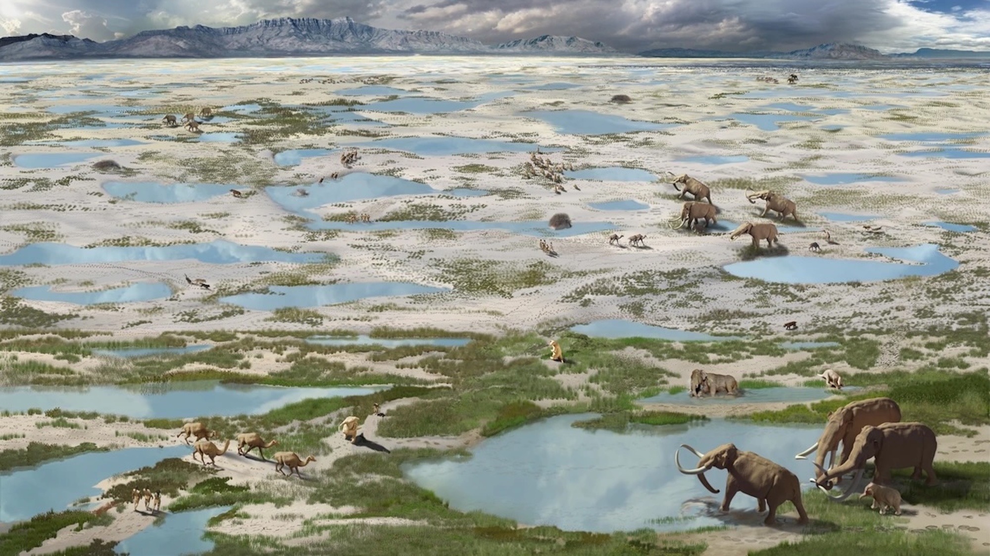 North America’s oldest human footprints tell a tale of ice age chaos