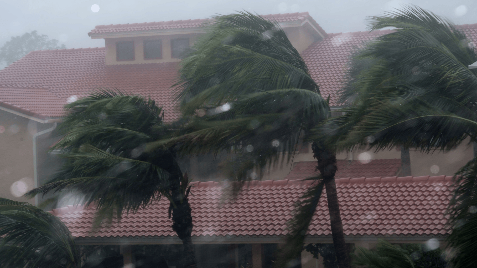 Wavy-shaped homes could limit damage from hurricane winds