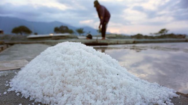 Dianggap Penyebab Penyakit, Kurang Konsumsi Garam Justru Berbahaya