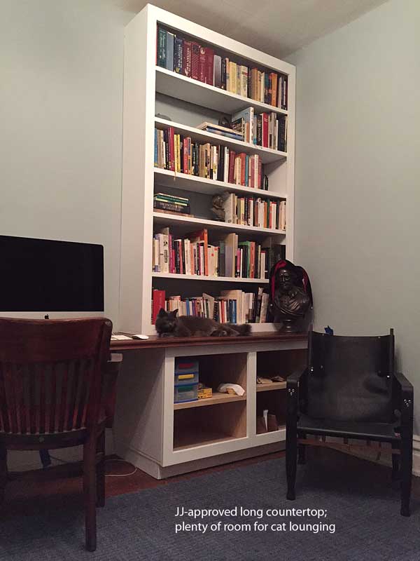 Make a Long Plywood Countertop Popular Woodworking