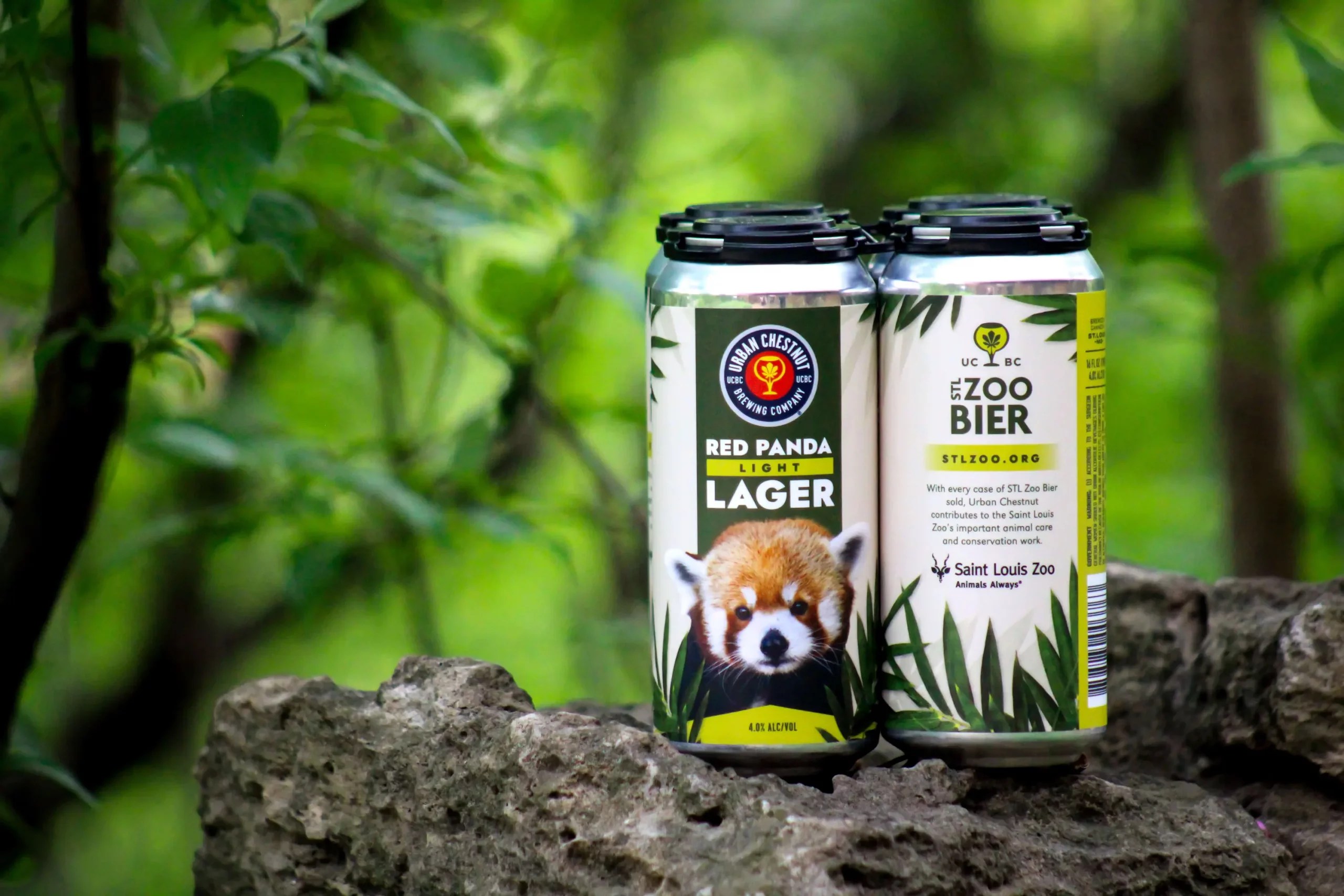 Urban Chestnut releases new beer with Saint Louis Zoo LaptrinhX / News