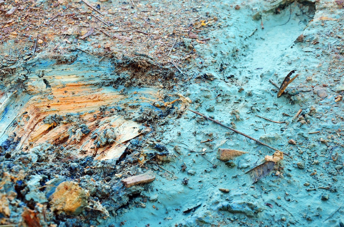 Effects of chemicals and heavy metals in soil from Industrial