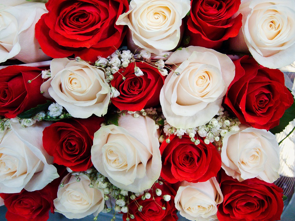 The Meaning of Roses