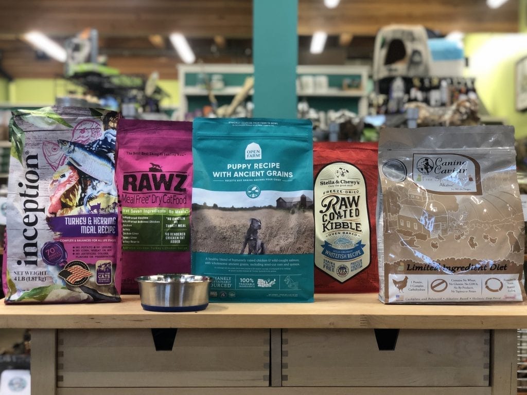 Best Dog Food in 2020 Staff