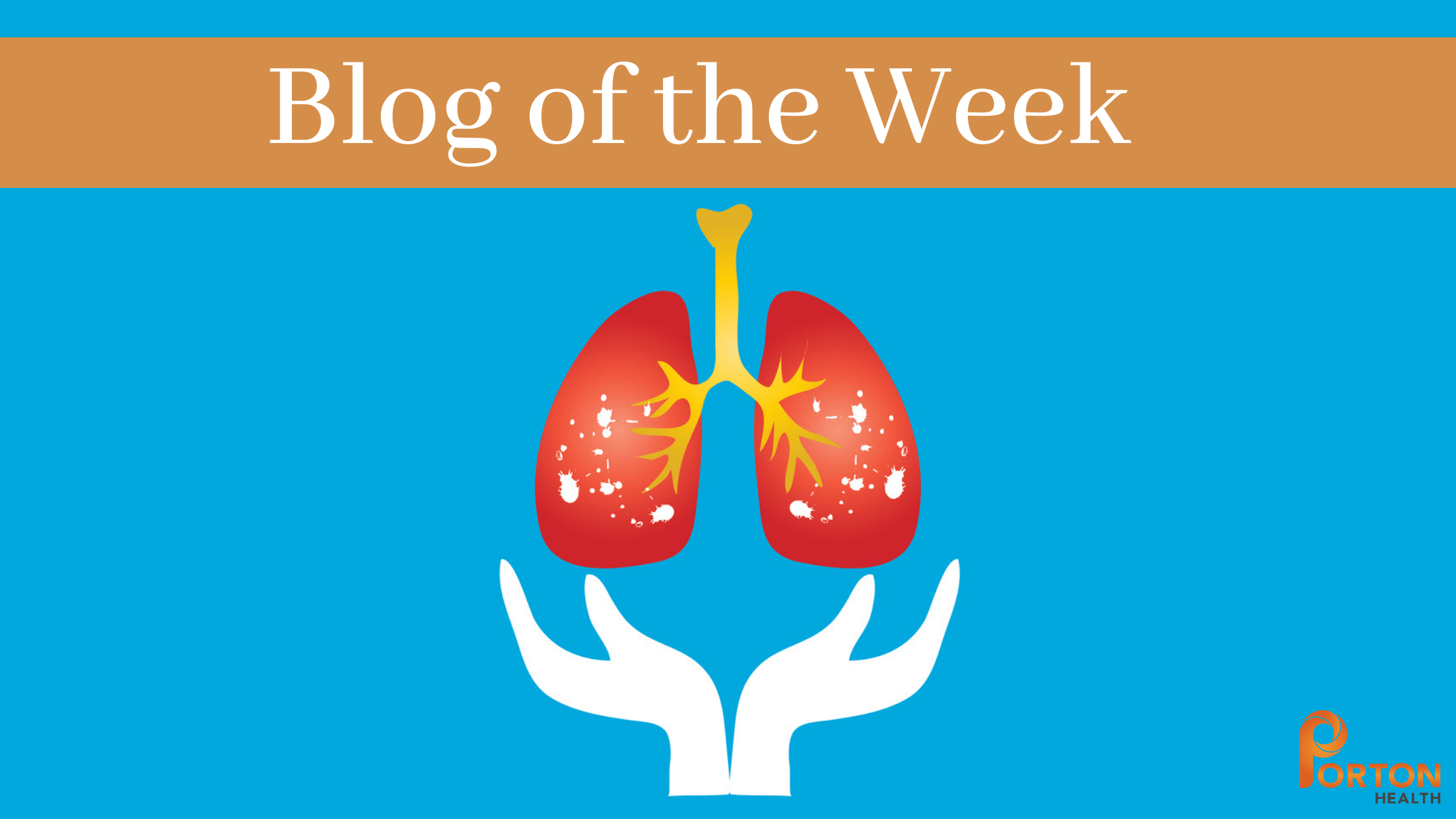 Performing Directly Observed Therapy for Tuberculosis Patients with Telehealth Porton Health