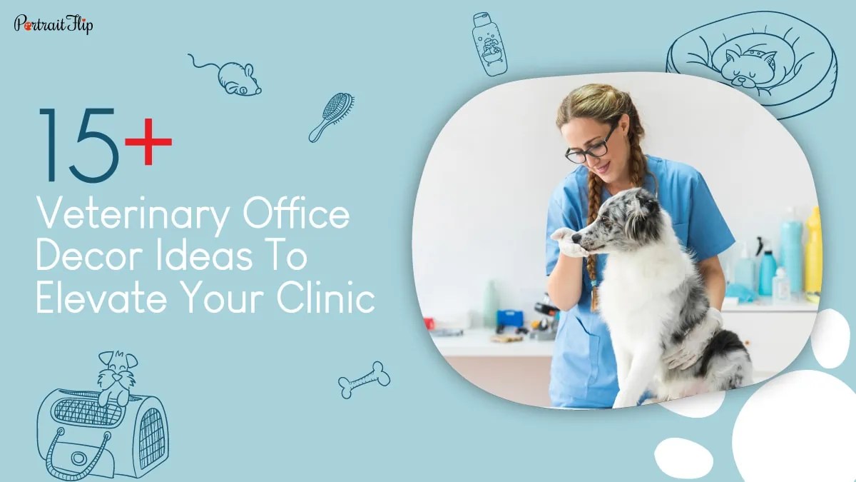 15+ Veterinary Office Décor Ideas to Elevate Your Clinic