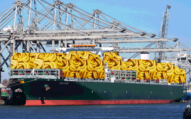 Five Fun Facts about Cargo Ships and Cranes Port of Seattle