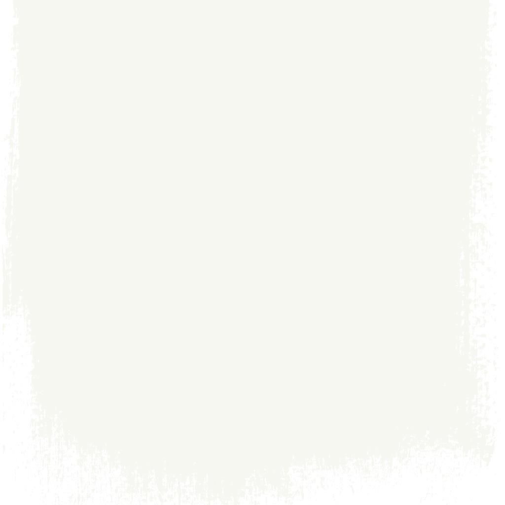 Perfect Wall Primer & Undercoat Posh Paint