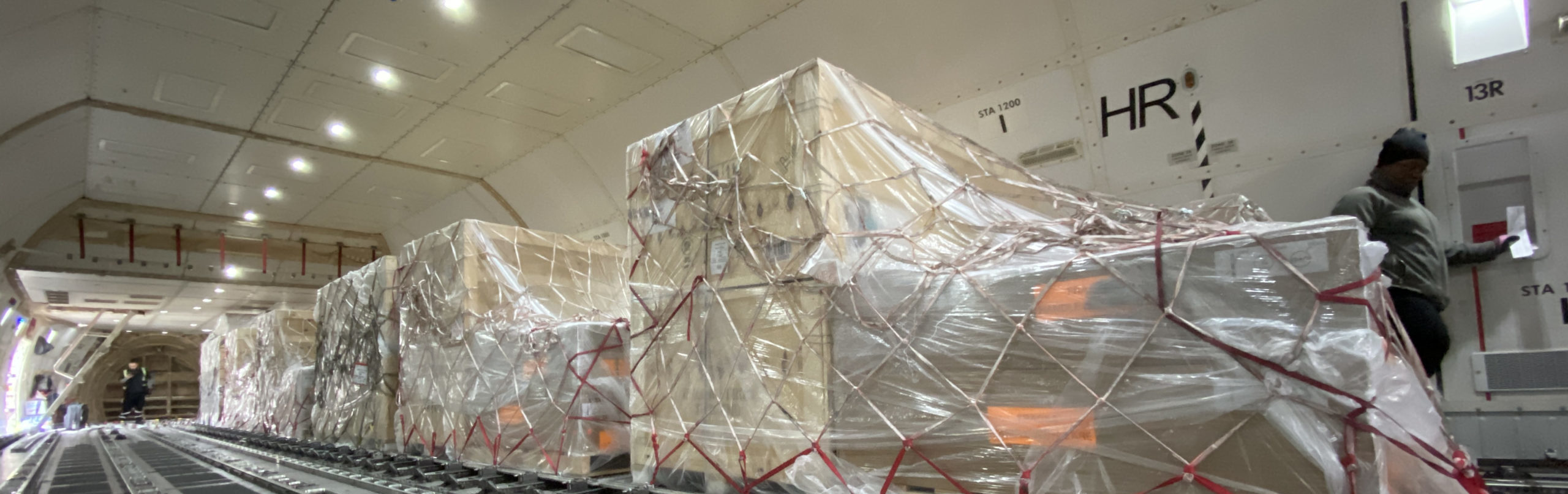 Global K9 Protection Group Position Global