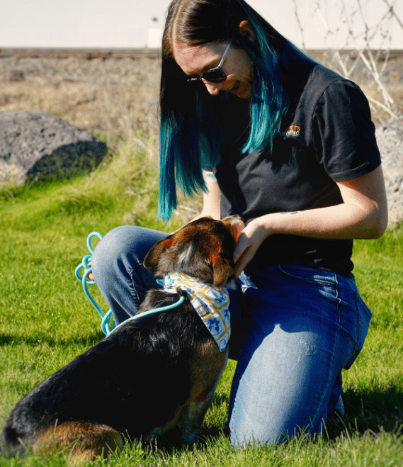 Active Dog Training Program Positive Pets Dog Training Boise, ID Puppy Trainers