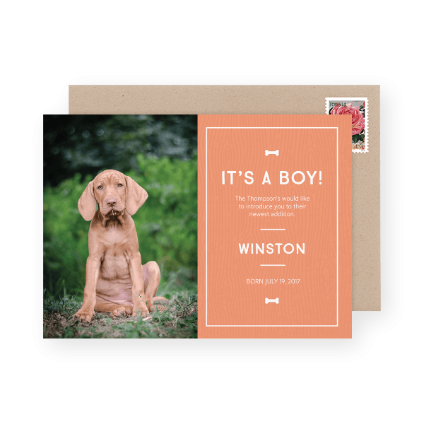 18 PUPPY ANNOUNCEMENTS & QUIRKY PUPPY NAMES FOR YOUR NEW FURRY FRIEND