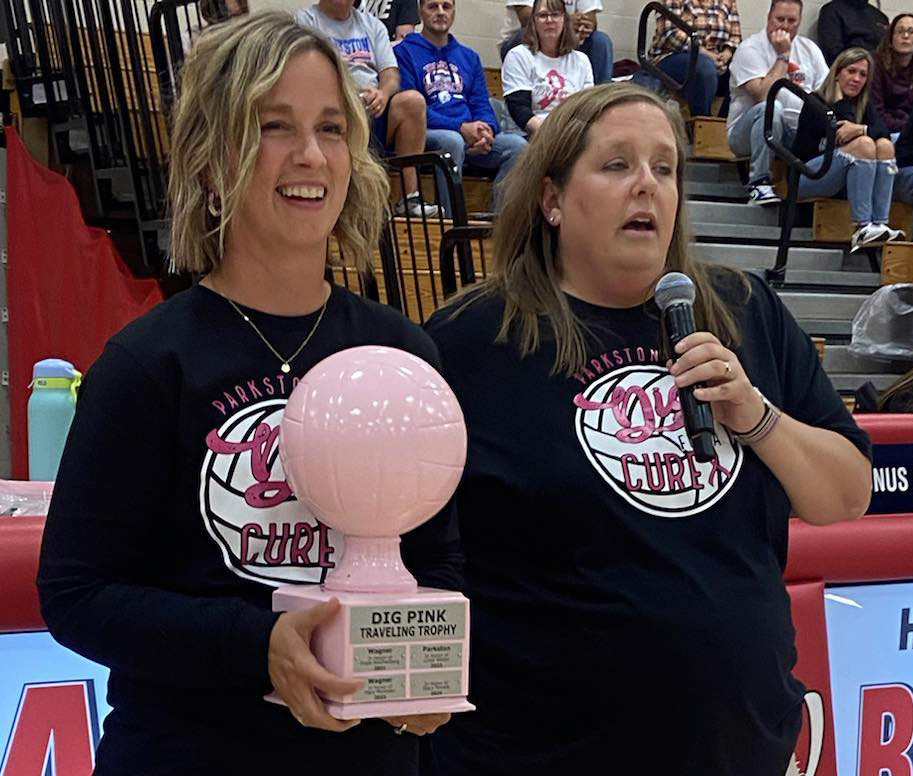 DIG PINK NIGHT Wagner Post