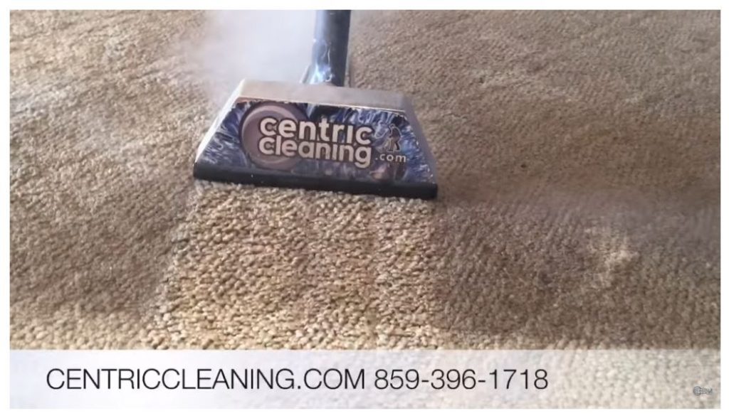 26 Genius Carpet Cleaning Marketing Ideas For More Leads & Sales