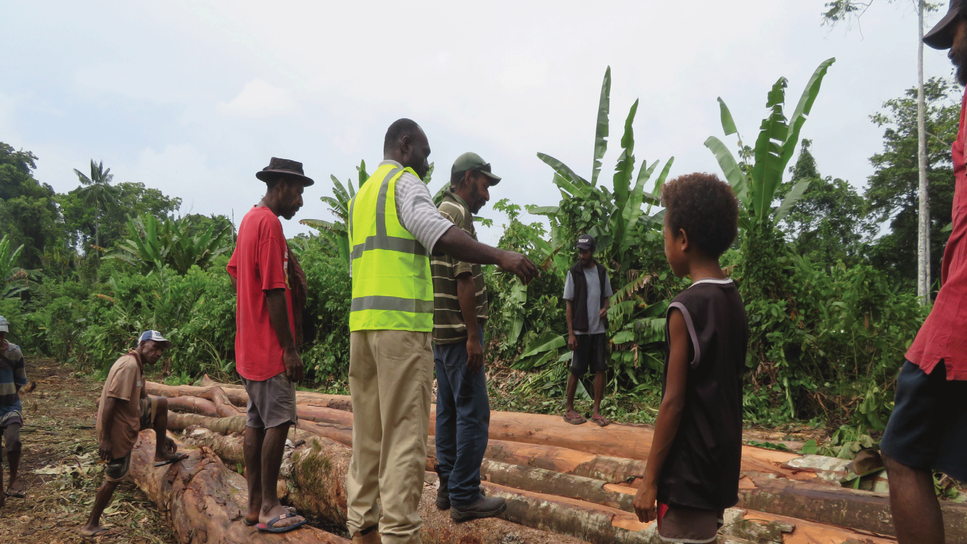 Industry assessment of onshore wood processing Post Courier