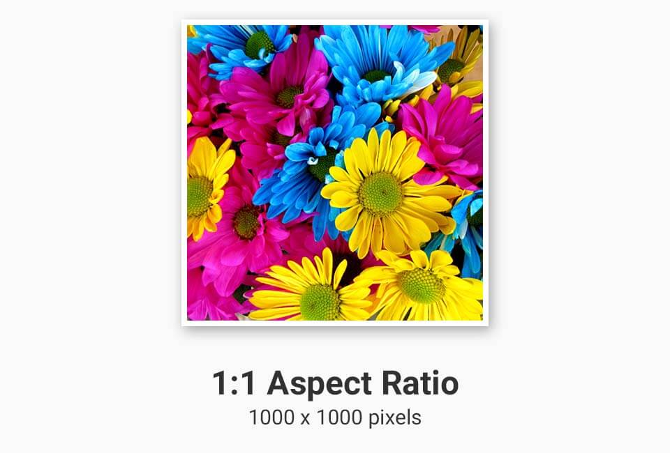 The Definitive Guide to Image Aspect Ratio for Printing