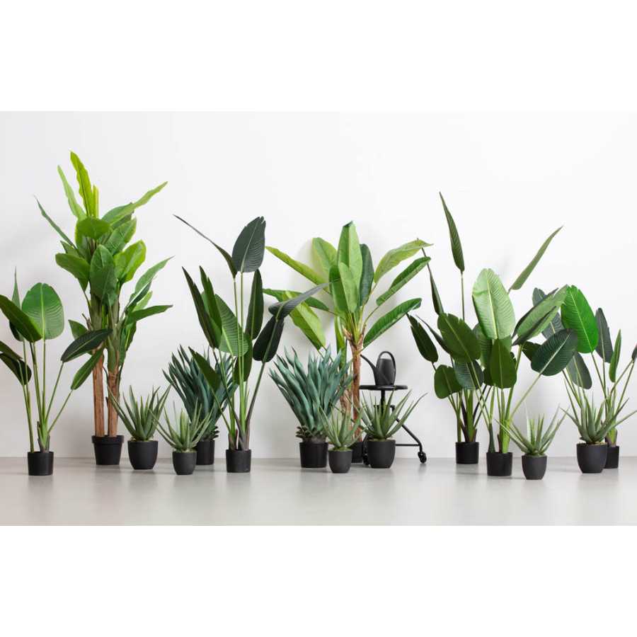Comprehensive Guide How to Maintain Artificial Plant