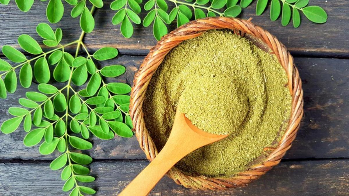 Benefits of moringa to lose weight naturally