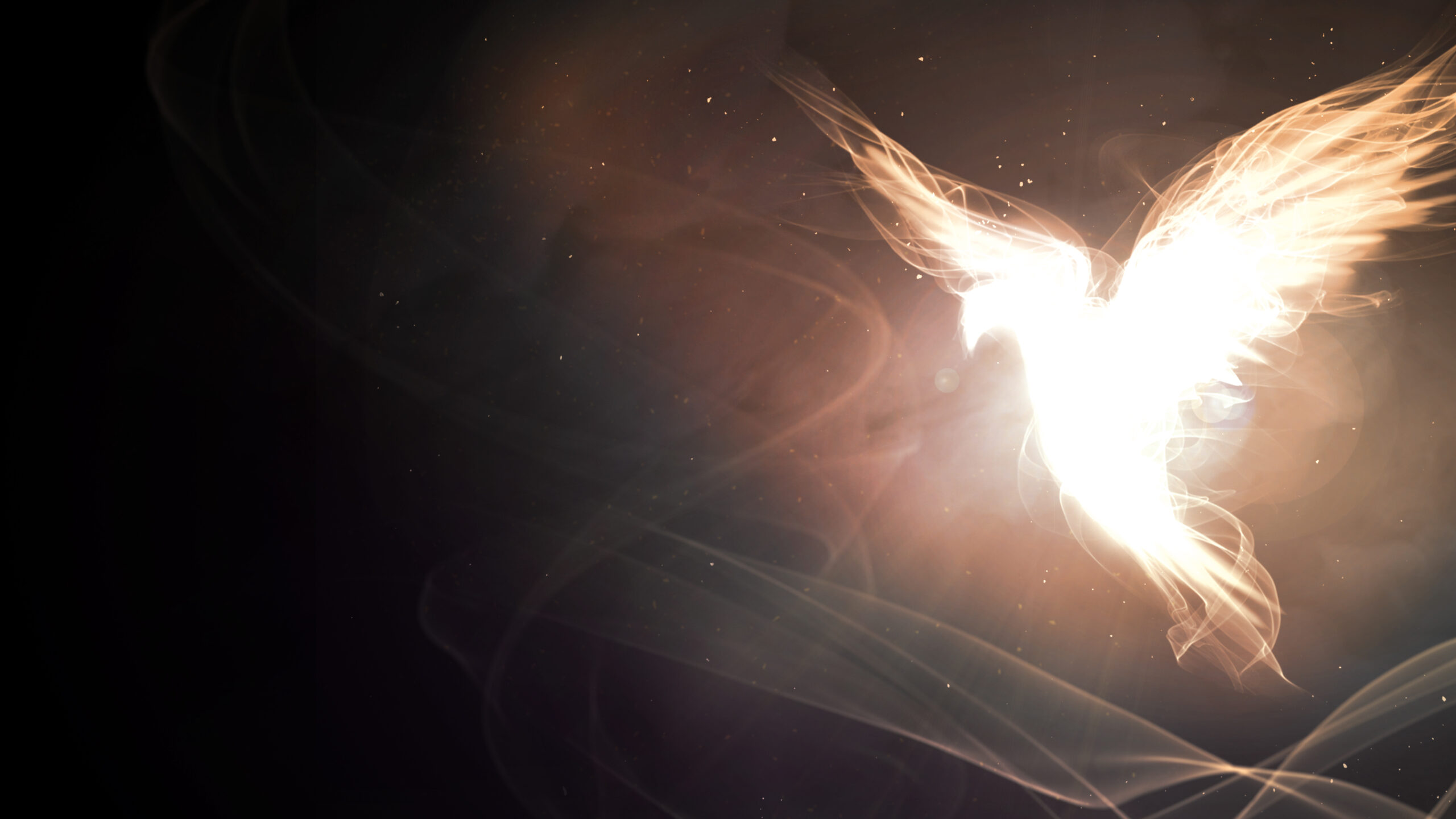 What is holiness?, everything you need to know about the subject