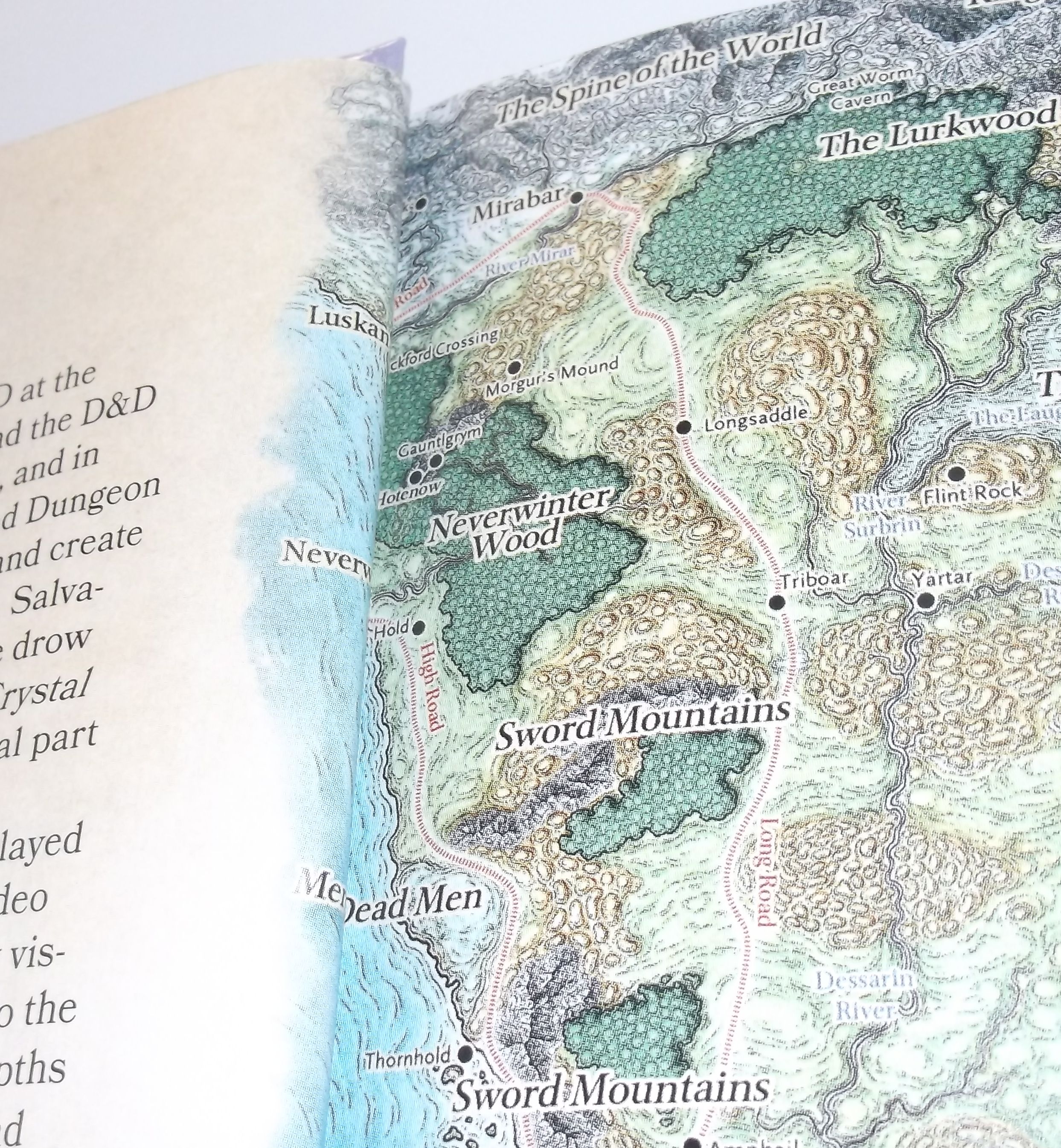 Sword Coast Adventurer's Guide (And Other D&D Items) post post modern dad