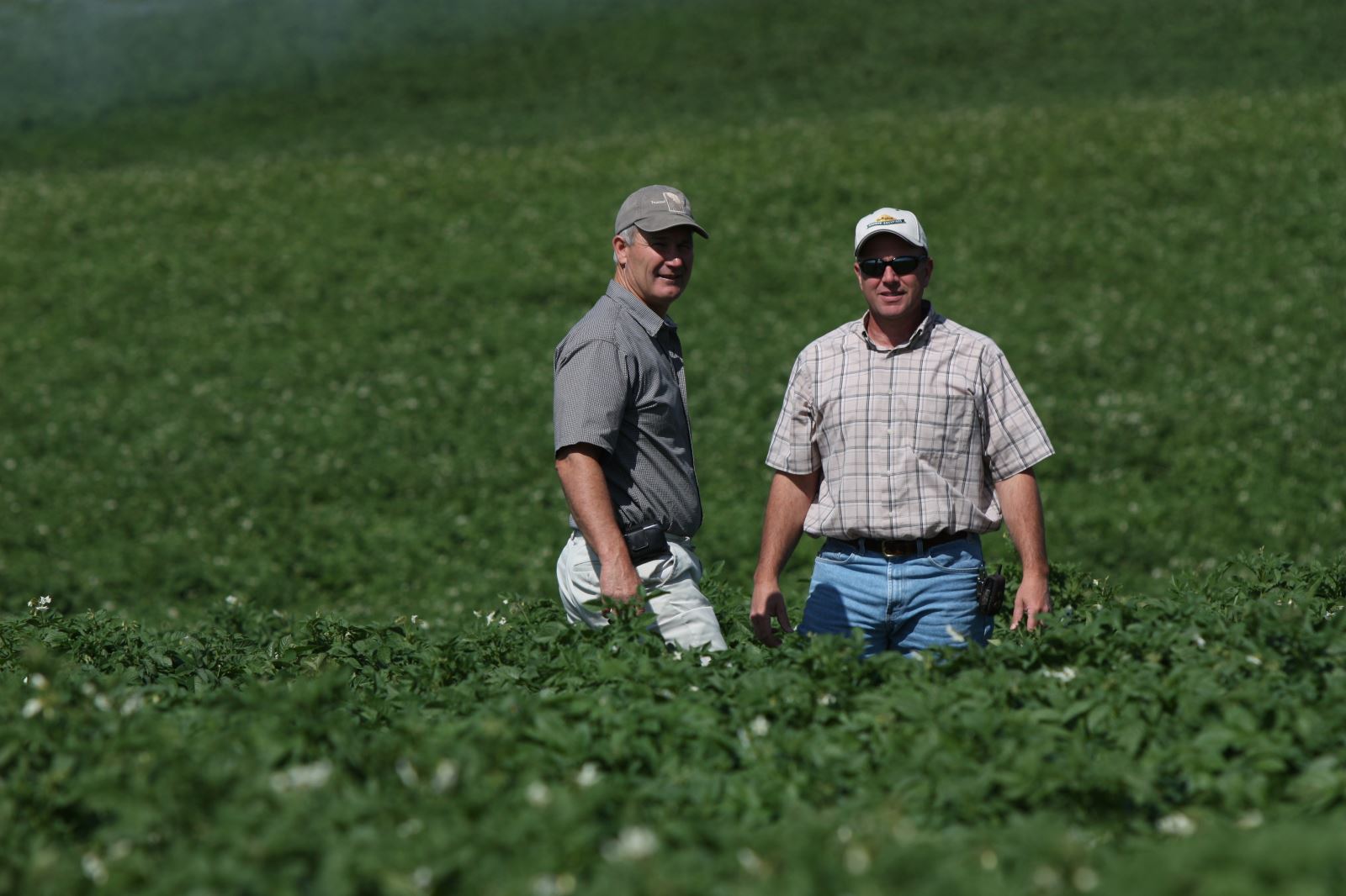 Best 30 Potato Farm in Idaho Falls, ID with Reviews
