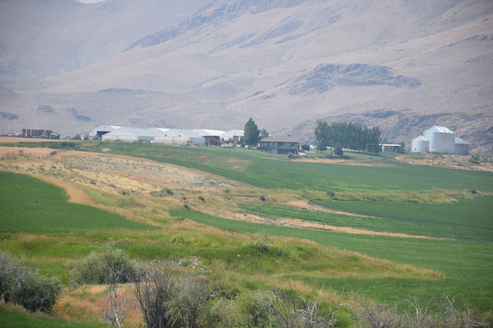 Potato Prices for Idaho Farmers Are Up, But So Are Input Costs