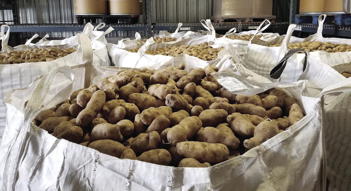 Minnesota Grower Donates 18 Tons of Potatoes for Thanksgiving Potato Grower Magazine