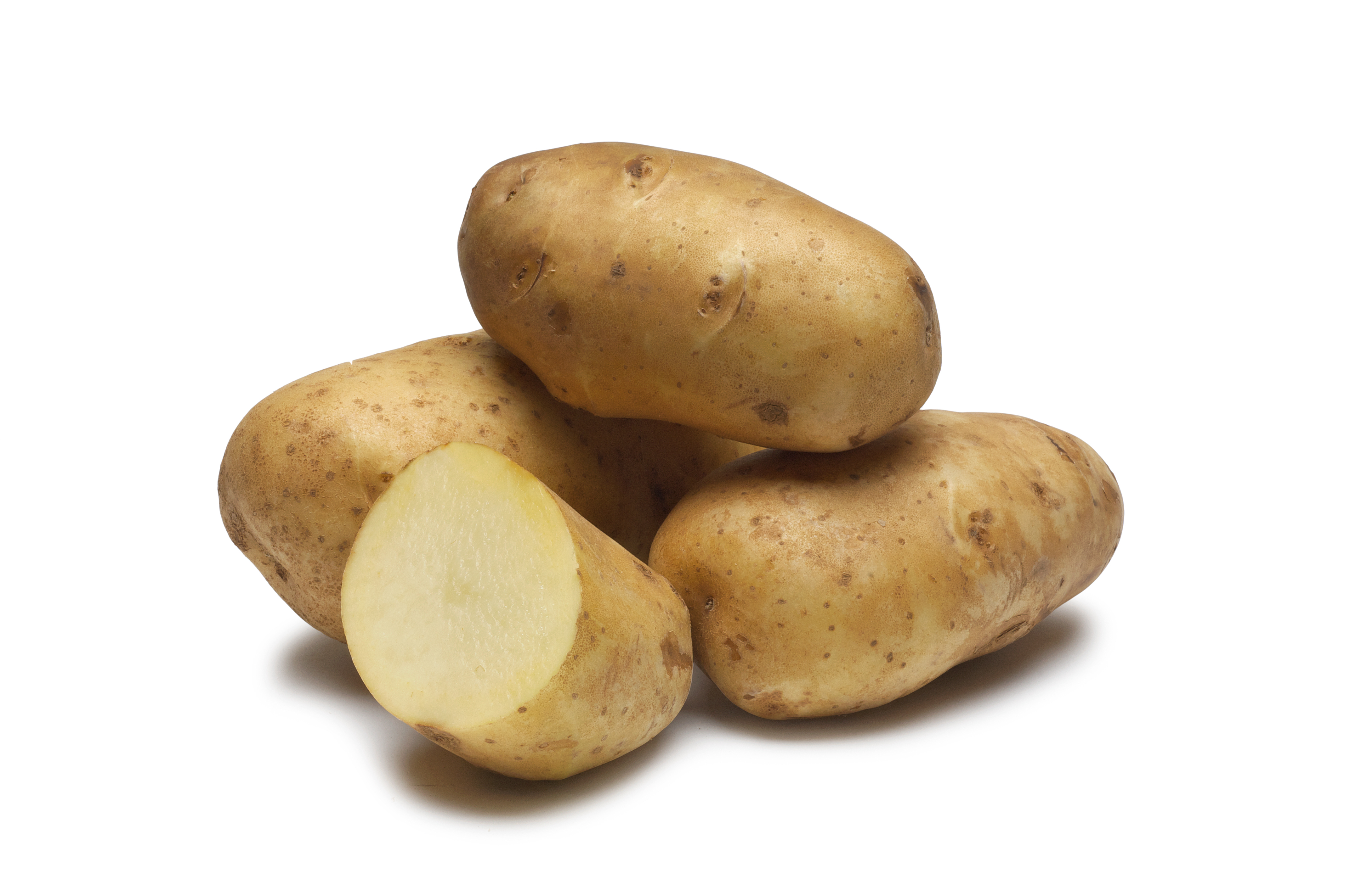 The Palisade Russet Potato Grower Magazine