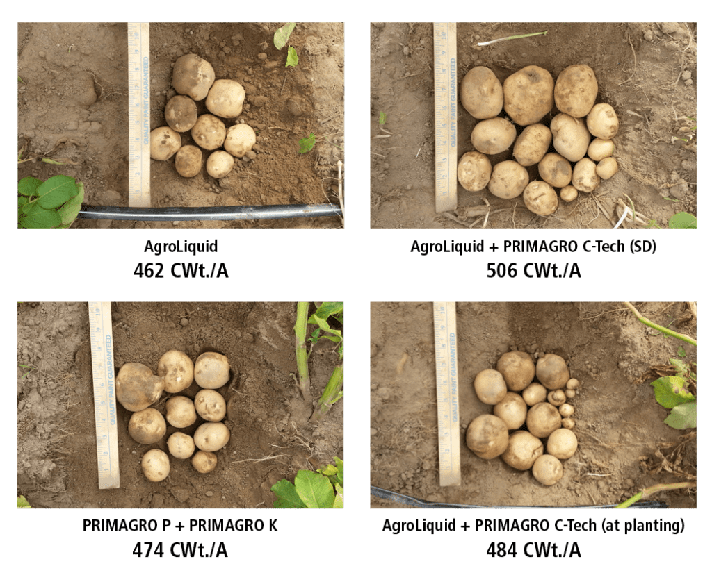 CTech Fertilizer Improves Yields Potato Grower Magazine