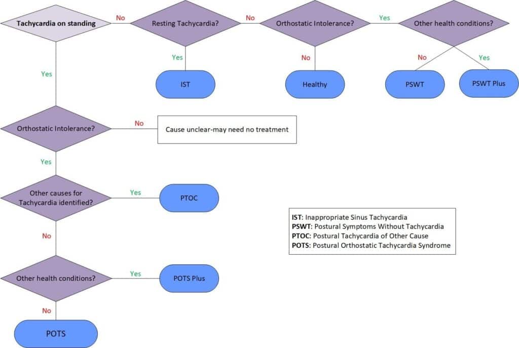 Classification PoTS UK