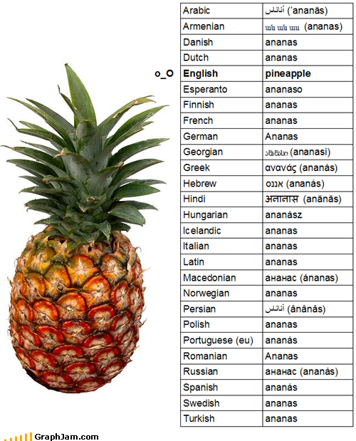 Englisches Ananas Pottwalblog