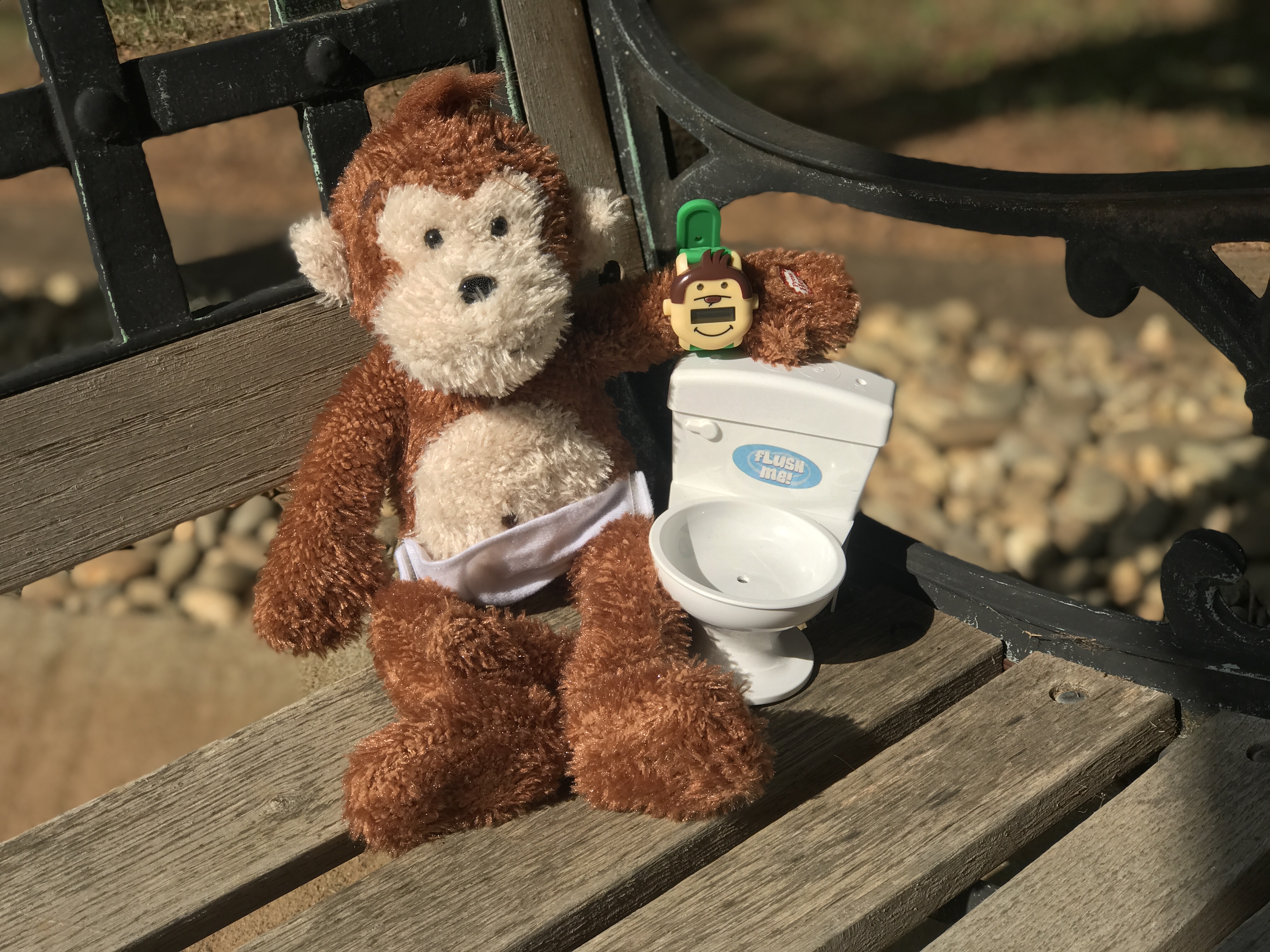 Potty Monkey Potty Watch Potty Reminder Watch for Kids