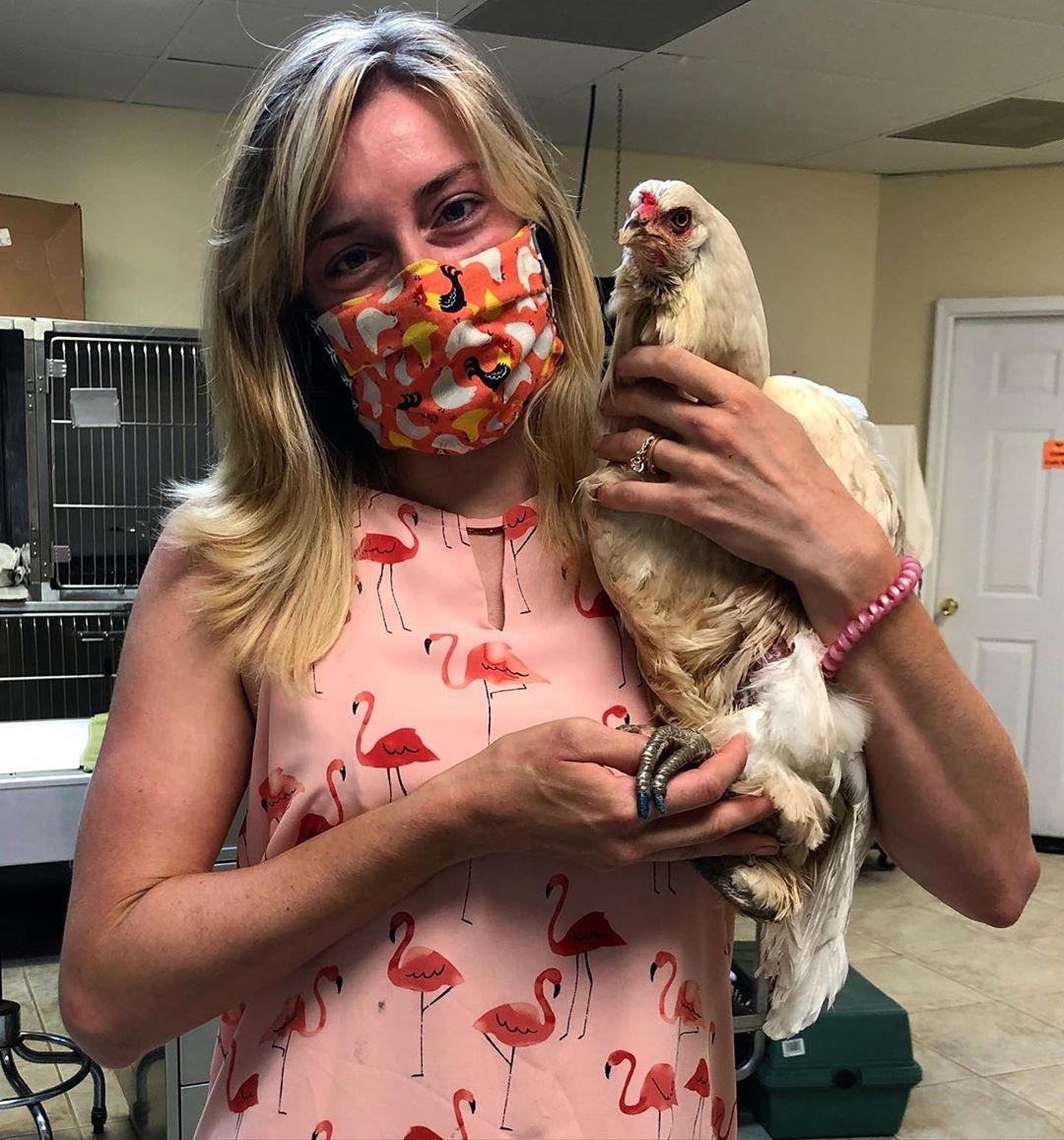Tabitha the Hen’s Ovarian Cancer