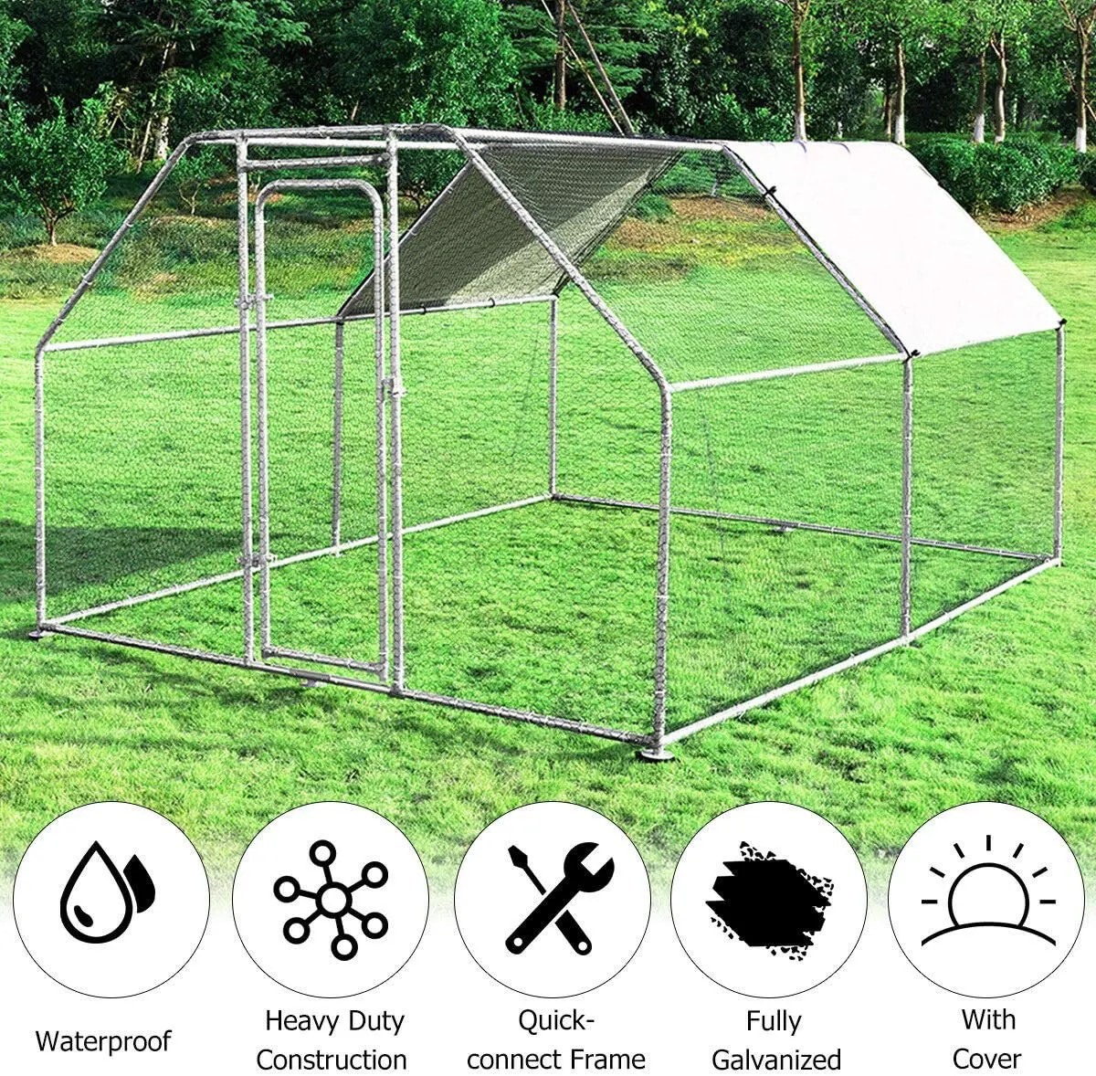 Best Chicken Coop for 12 Chickens [Space Requirements? Answered]