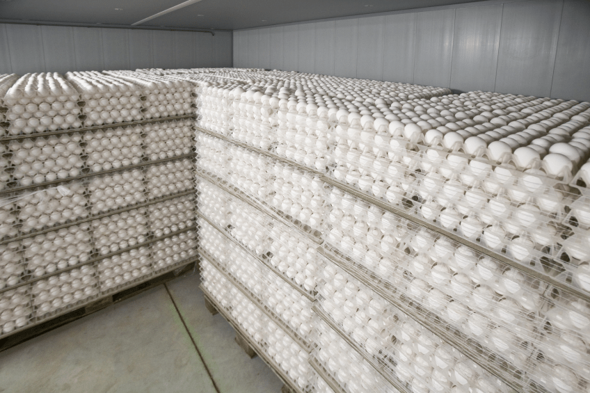 Restoring the hatchability of stored eggs Poultry World