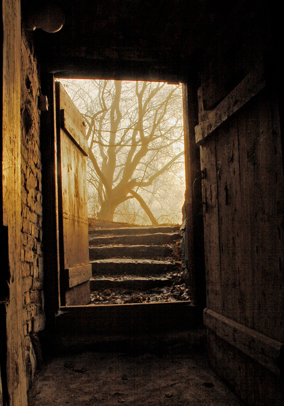 The Back Door PouringBeans