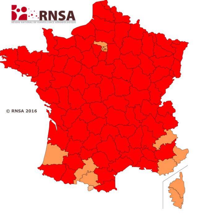 Carte Graminées Allergies the French map of grasses Ace Mind