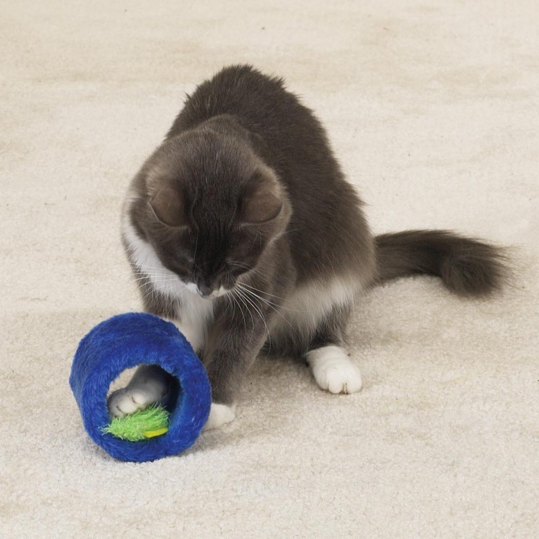 Why Your Pets Will Like These Toys? Pouted Online Lifestyle Magazine