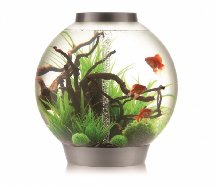 How to Decorate Your Boring Fish Tank